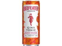 Obrázek k výrobku Beefeater Orange Tonic 4,9% 0,25l