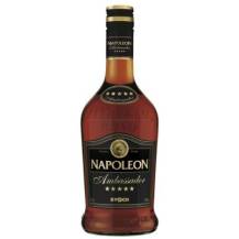 Obrázek k výrobku Napoleon Ambassador 28% 0,7l